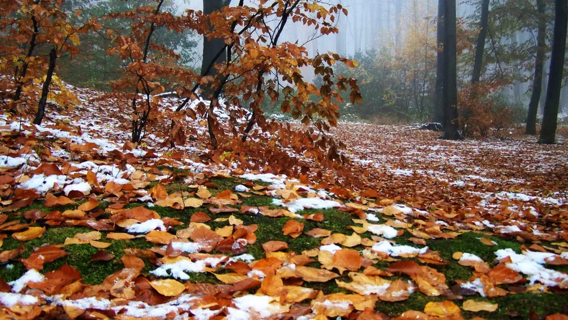 PROGNOZA METEO. Vreme de toamnă târzie la început de octombrie. Temperaturile scad DRAMATIC