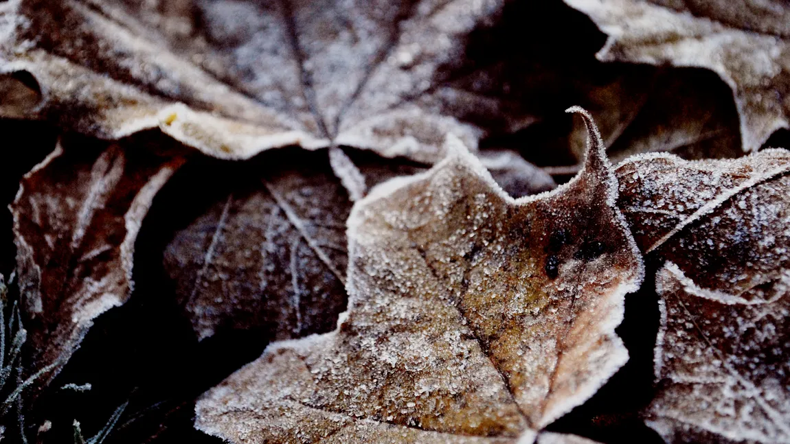 PROGNOZA METEO pe trei zile. Meteorologii anunţă FRIG şi PLOI. Iată de când se îndreaptă vremea