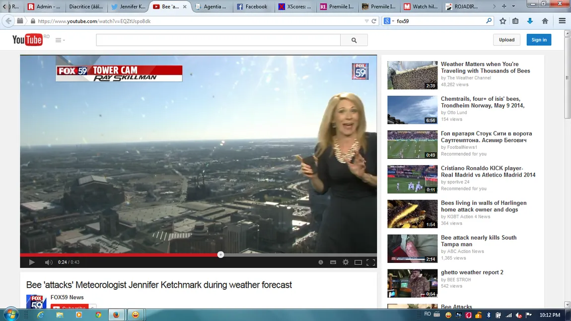 Plouă cu viespi! O insectă gigantică şi-a făcut de cap la rubrica meteo, prezentatoarea a luat-o razna VIDEO