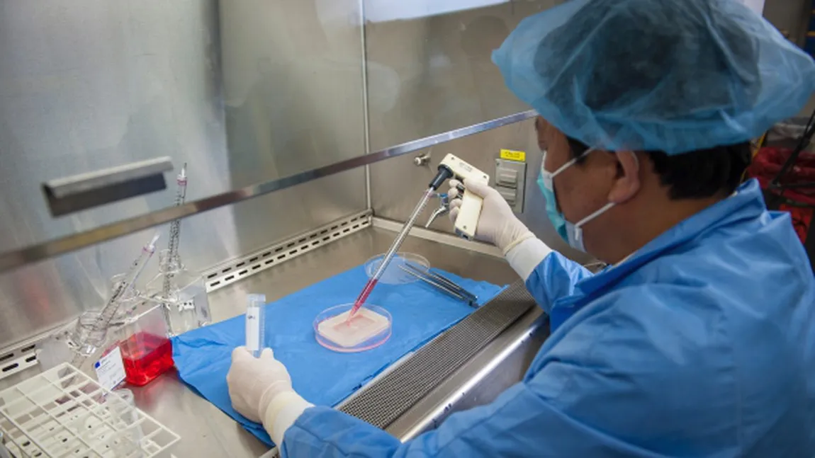 Cercetătorii au realizat primele PENISURI în laborator: Organele sunt realizate din celulele pacientului