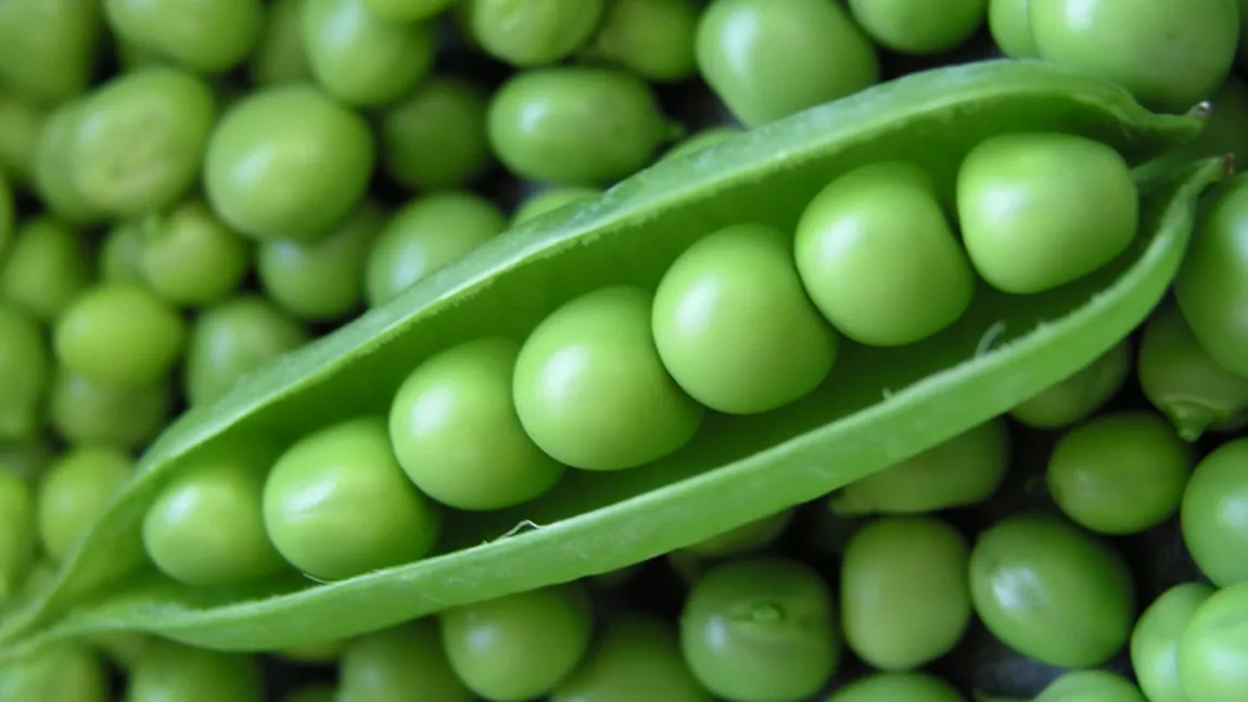 9 proteine vegetale pe care ar trebui să le incluzi în dietă