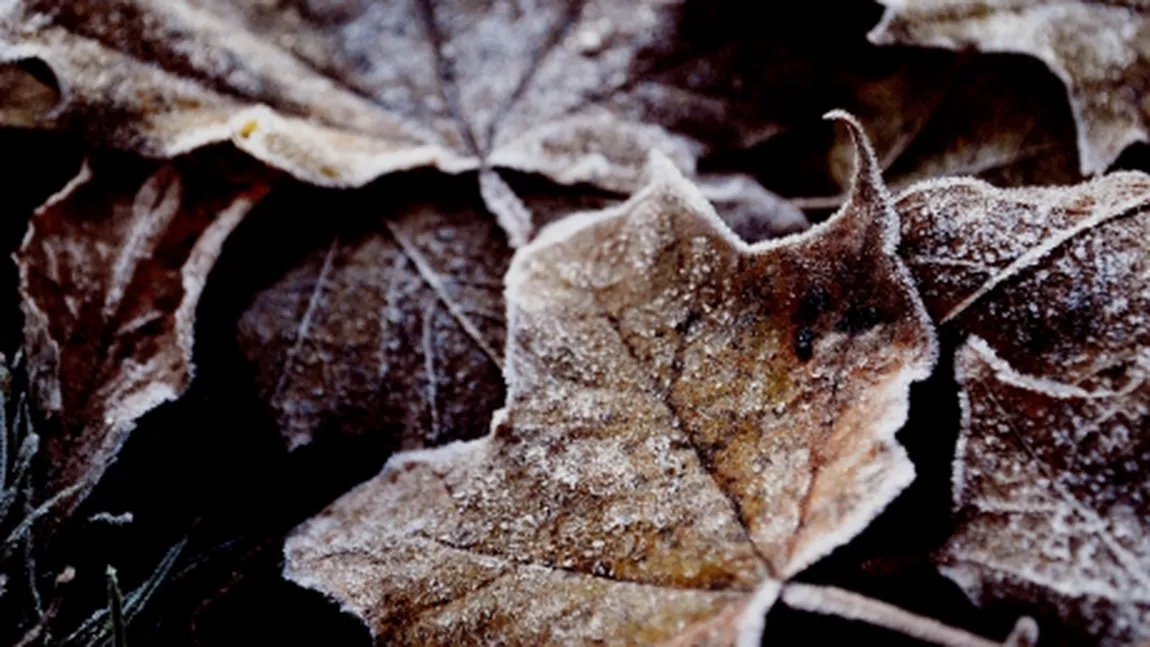 PROGNOZA METEO. Se lasă frigul în toată ţara, iar ploile se vor transforma în ninsori