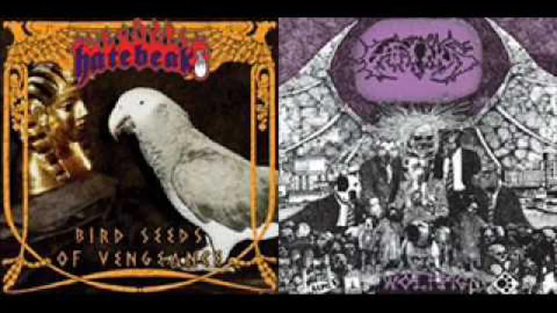 Povestea TRUPEI HEAVY METAL care are un PAPAGAL drept VOCALIST: Nu avem concerte LIVE VIDEO