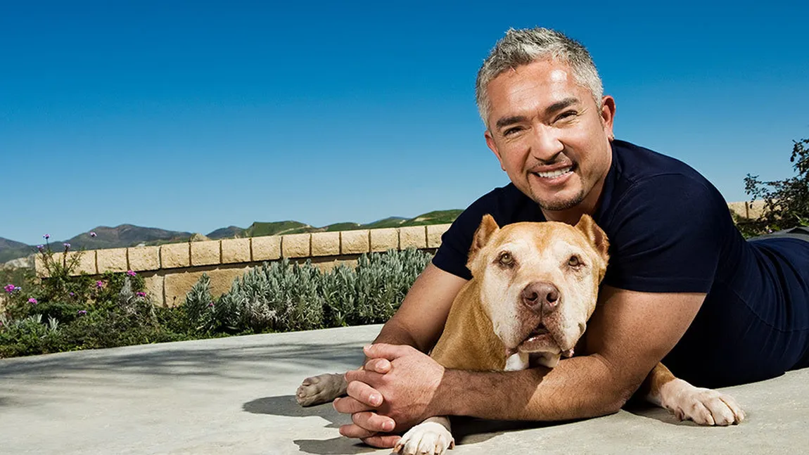 Celebrul dresor de câini şi realizator TV Cesar Millan AR FI MURIT în urma unui atac de cord
