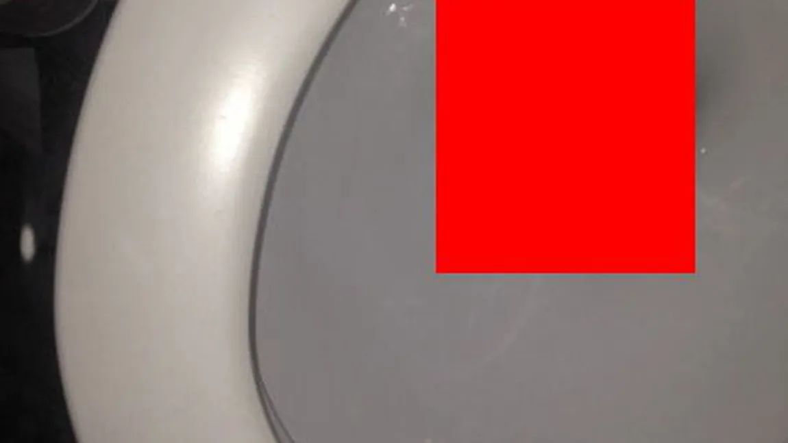 Ce a păţit o fată după ce şi-a scăpat IPHONE-UL în WC: ESTE o MINUNE! FOTO