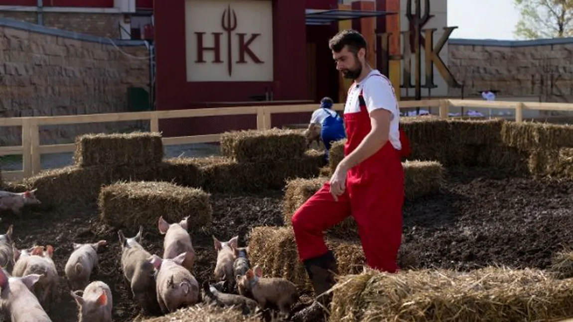 IADUL BUCATARILOR 8 DECEMBRIE: Eliminare-surpriză: 