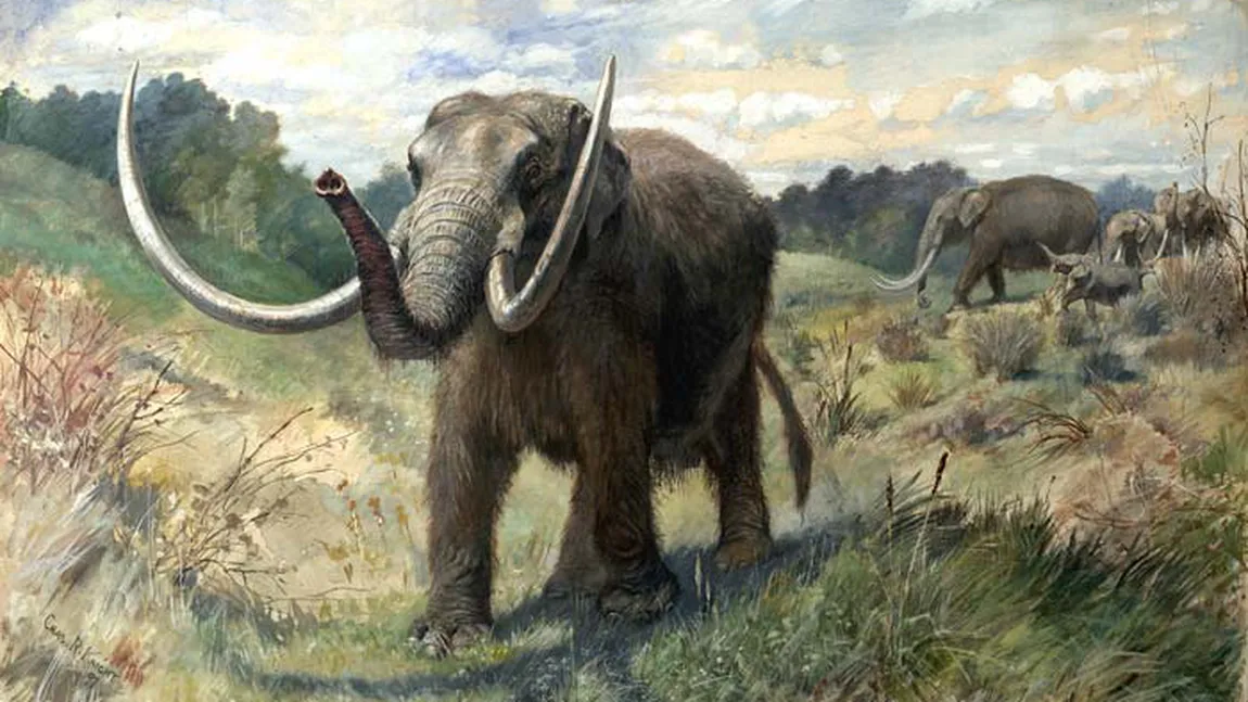 Descoperire importantă despre dispariţia mastodonţiilor. Cercetătorii s-au înşelat până în prezent