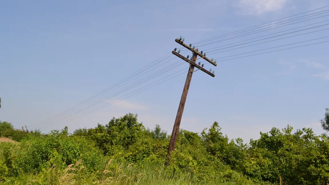 Doi arădeni au furat stâlpii de telefonie să-i pună pe foc