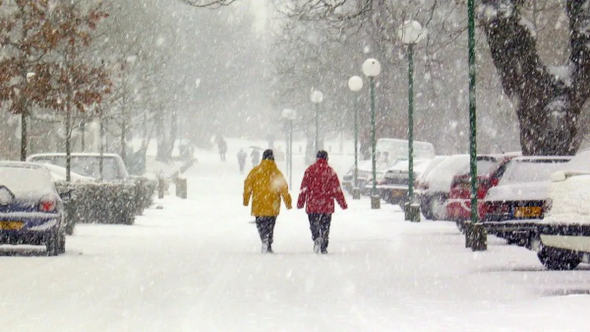 PROGNOZA METEO. Ger, ninsori, viscol şi polei în România. Cum va fi vremea în weekend