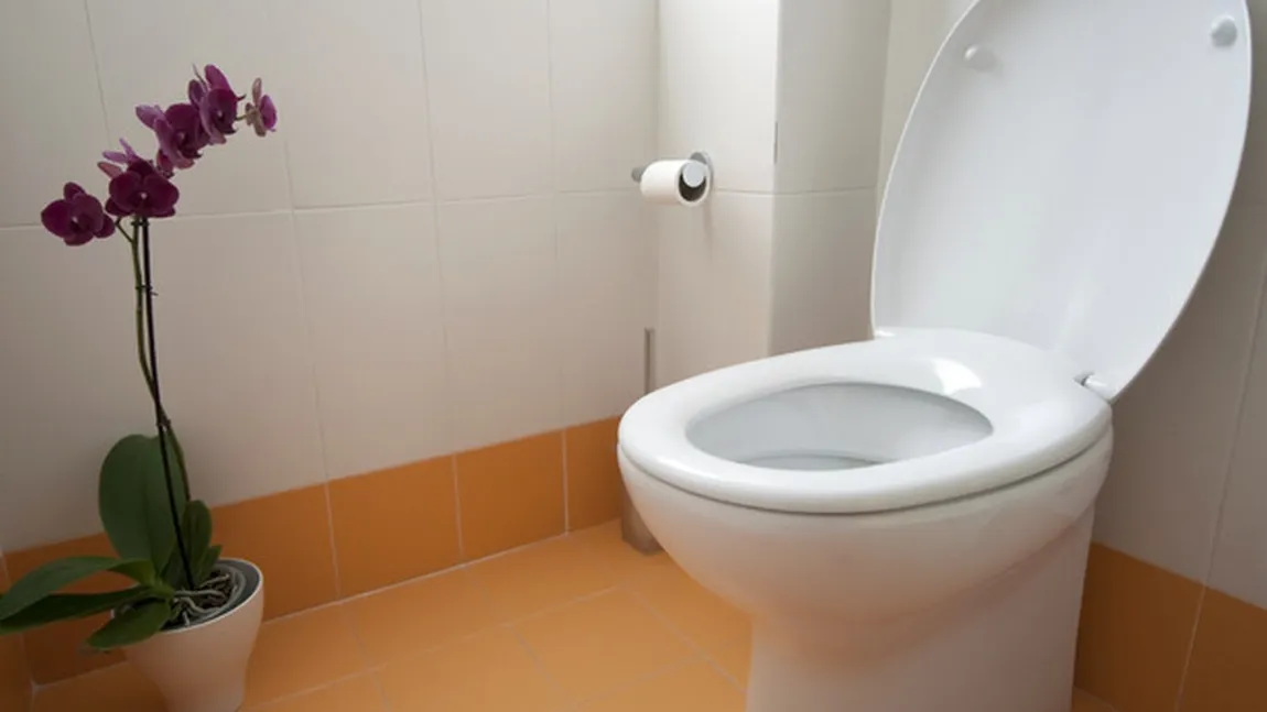 Motivul ŞOCANT pentru care o baie dintr-un birou s-a ÎNFUNDAT. Ce au găsit autorităţile este de speriat FOTO