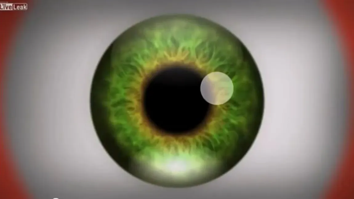 ILUZIE OPTICĂ HIPNOTIZANTĂ: Ce se întâmplă dacă vezi aceste imagini până la capăt este fascinant VIDEO