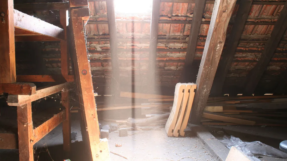 Descoperirea ÎNTÂMPLĂTOARE făcută într-un POD, l-a transformat în OM BOGAT: Îl am de când eram mic FOTO