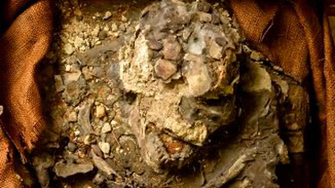 A fost descoperit un schelet mai vechi ca Biblia. Unii susţin că ar fi NOE FOTO