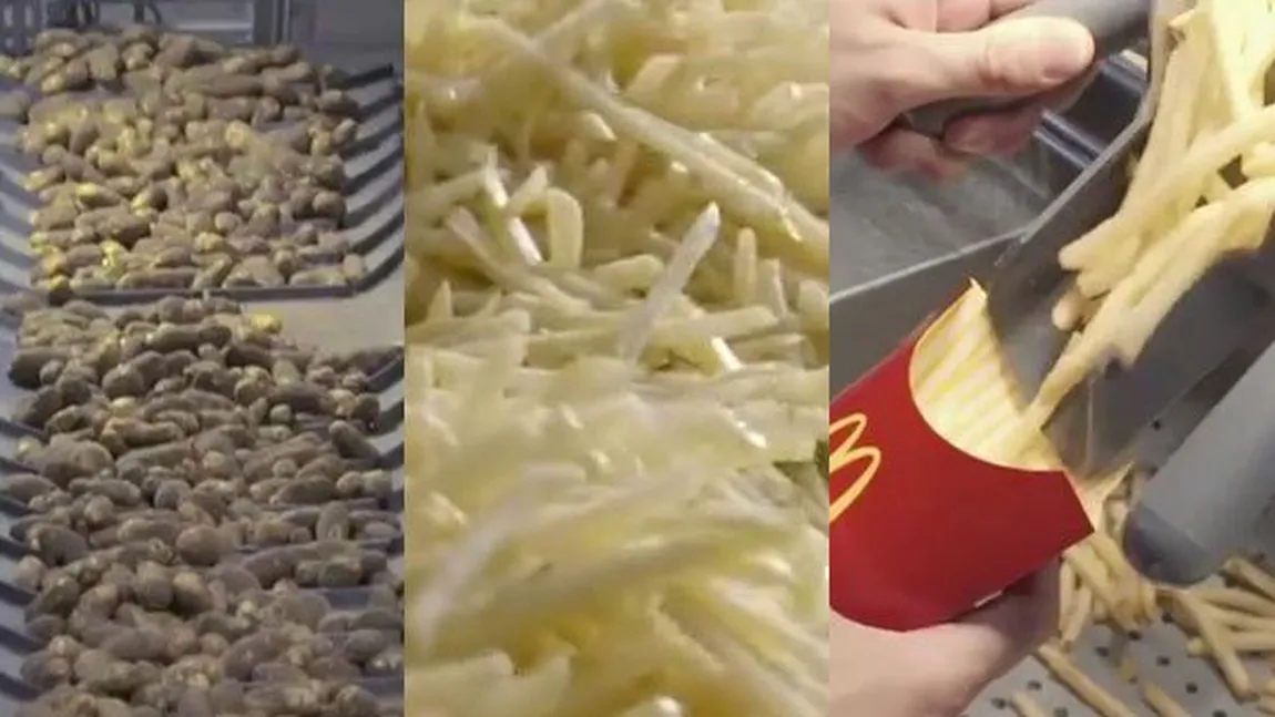 ADEVĂRUL a IEŞIT la IVEALĂ. Din ce sunt făcuţi CARTOFII PRĂJIŢI de la McDonald's VIDEO