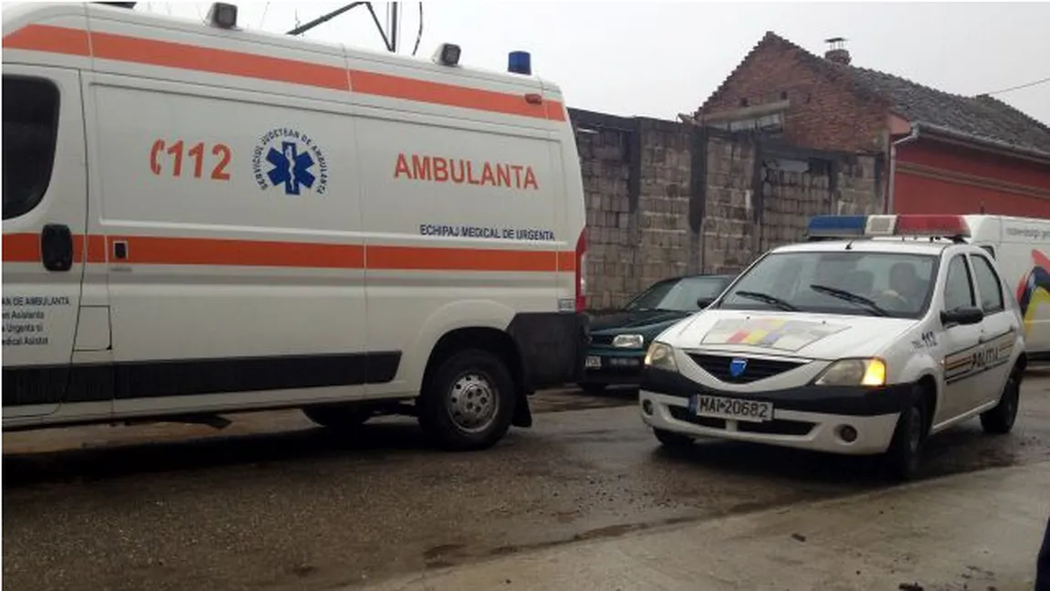 CAZ ŞOCANT în România. Bărbat DEVORAT DE PISICI în propria casă. Polţiştii s-au crucit FOTO