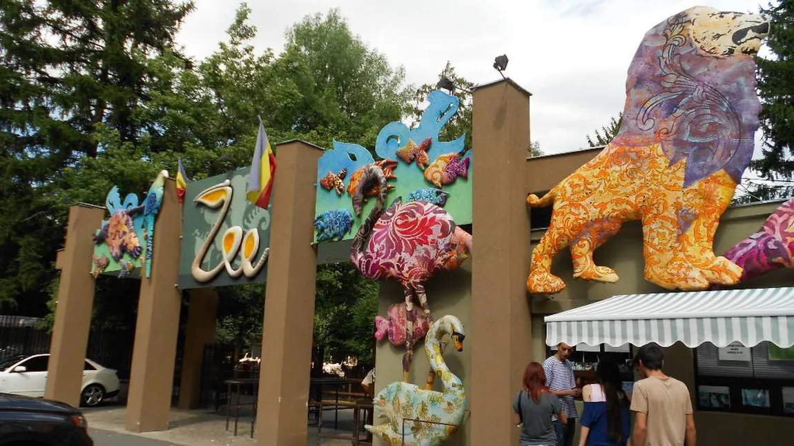 Singurul cimpanzeu de la Zoo Băneasa a MURIT