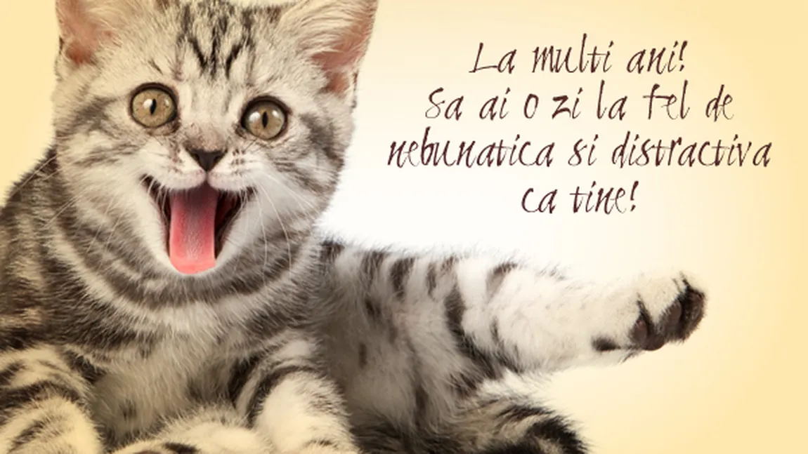 CALENDAR ORTODOX: Bucurie mare pentru mulţi români care îşi sărbătoresc iar onomastica