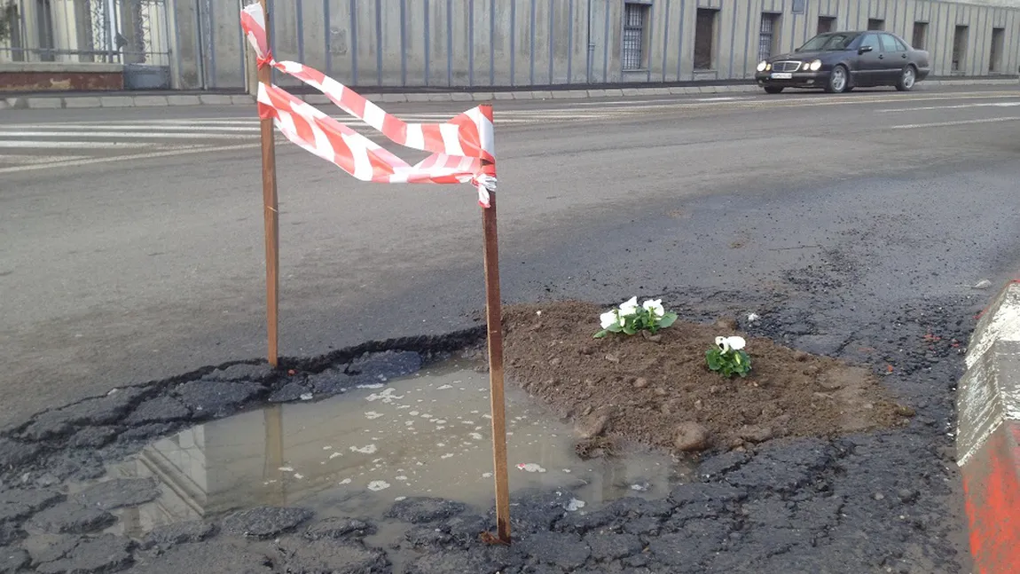 Mesajul primarului Sibiului, după ce tinerii au plantat panseluțe în gropile din asfalt