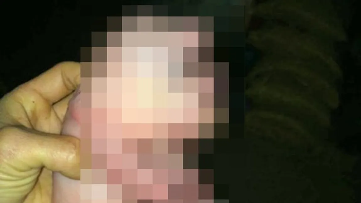 Descoperire ŞOCANTĂ făcută de un fermier în OGRADĂ: Este un mutant, are faţă de om şi un PENIS în FRUNTE FOTO