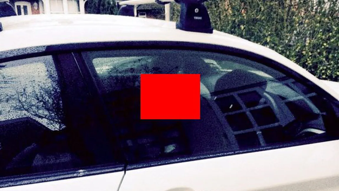 Descoperire EPIFANICĂ făcută de o FEMEIE într-un găinaţ de porumbel căzut pe o maşina: Este chipul lui IISUS