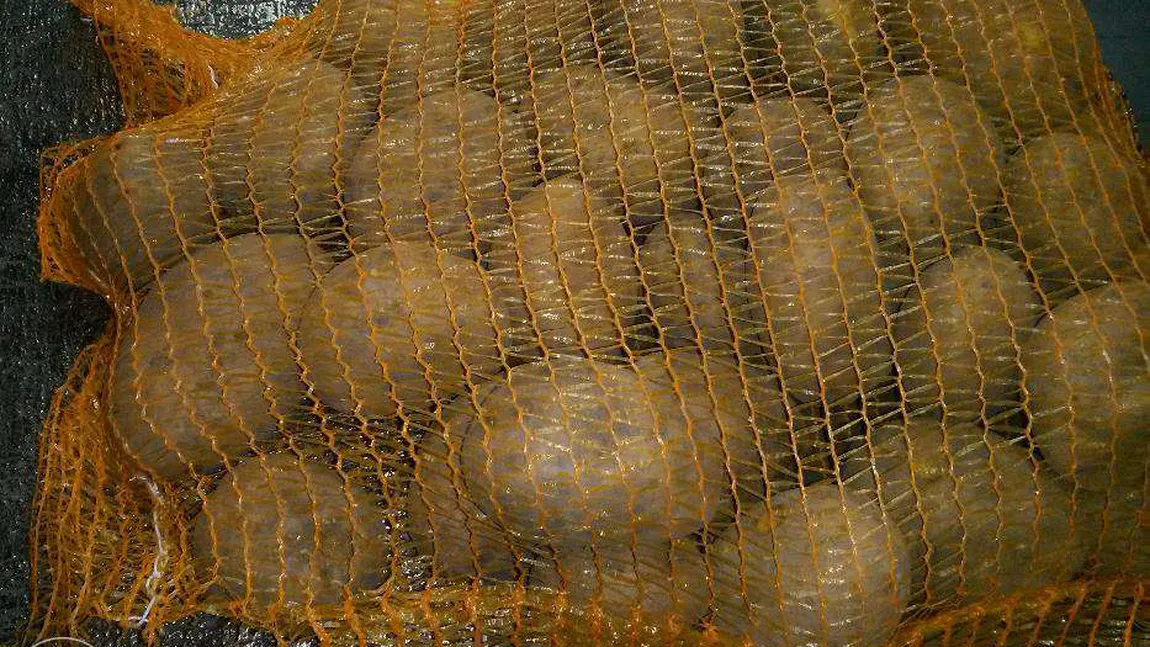 GRENADĂ găsită într-un sac cu cartofi, într-un supermarket din Slobozia