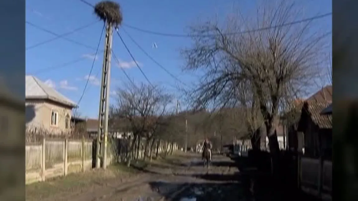 Situaţie tragi-comică. Localnicii de pe aceeaşi stradă, împărţiţi între două judeţe VIDEO