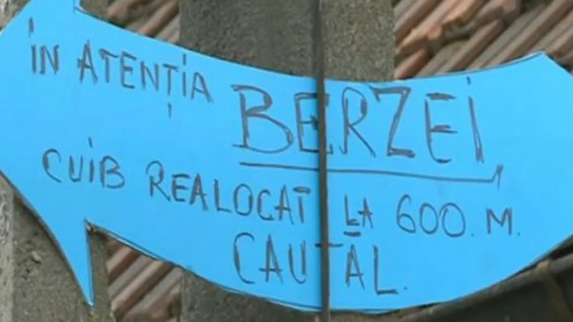 OPERAŢIUNEA BARZA: Pasărea nu renunţă la cuibul luat de ministru. Sătenii i-au pus indicator: 