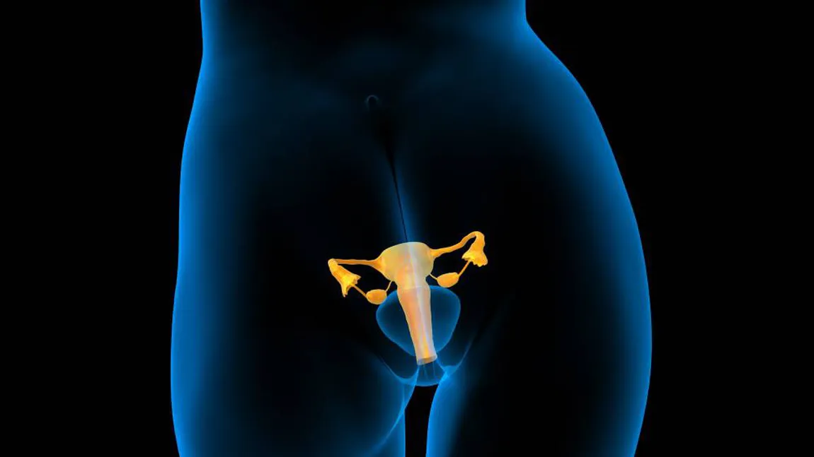 Cum îţi detoxifici uterul în mod natural