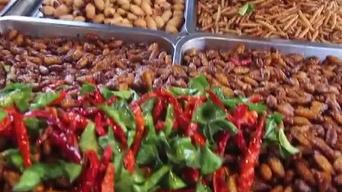 Insectele gătite, noua dietă la modă. Dieta mediteraneană, cea mai populară printre români