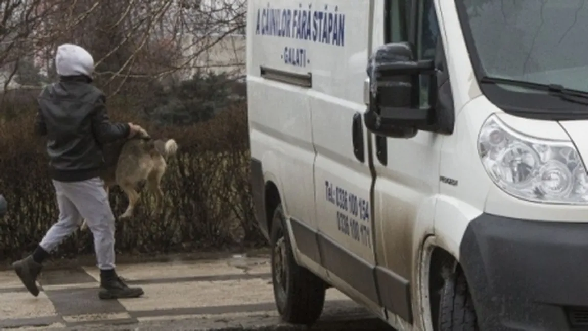 Scandal în stradă pentru maidanezi. Mai mulţi bucureşteni au sărit să-i bată pe hingheri VIDEO