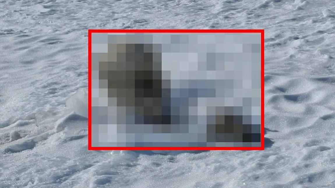 Descoperire MACABRĂ pe vârful înzăpezit al unui munte. Ce au găsit salvamontiştii din greşeală VIDEO
