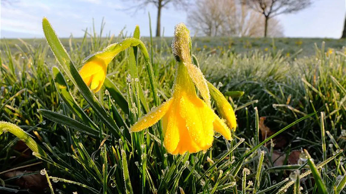 PROGNOZA METEO. Temperaturile urcă până la 17 grade în weekend