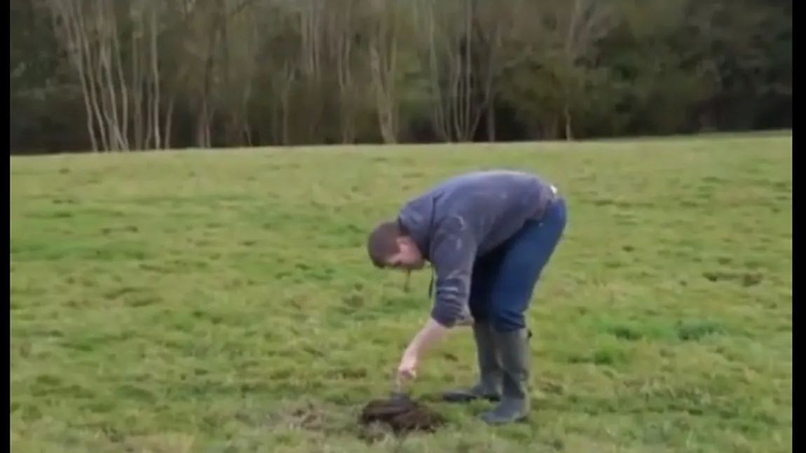 Un fermier a băgat o petardă într-o baligă şi a aprins-o. Finalul este murdar VIDEO