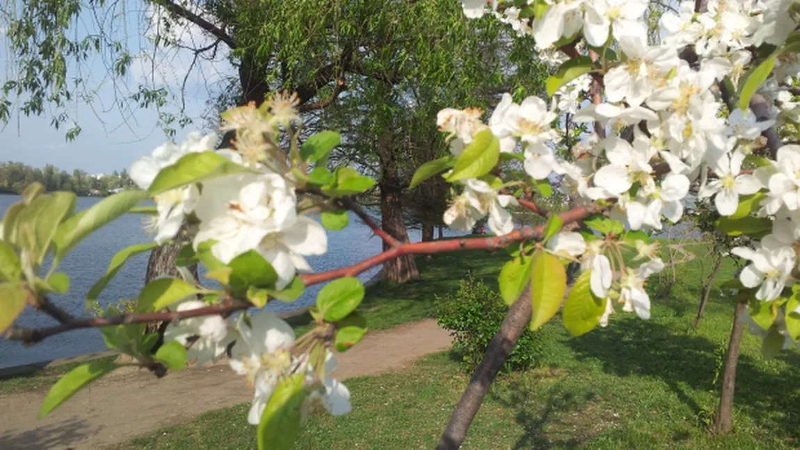 PROGNOZA METEO. Vremea începe să se încălzească simţitor de joi