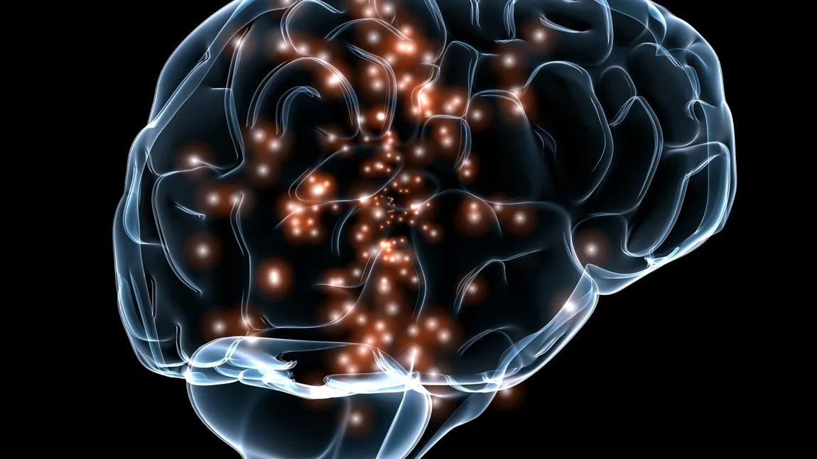 TOXINE care îţi afectează creierul şi în ce produse se găsesc