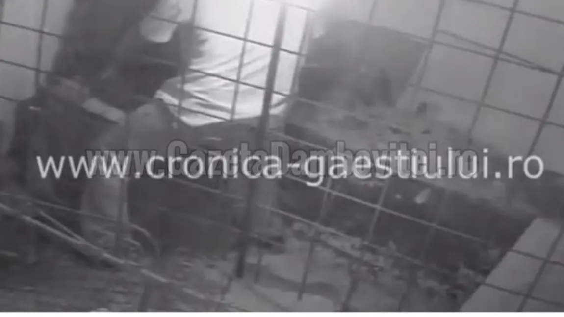 IMAGINI ULUITOARE: Un zoofil din Dâmboviţa, prins în timp ce VIOLA găinile vecinei VIDEO