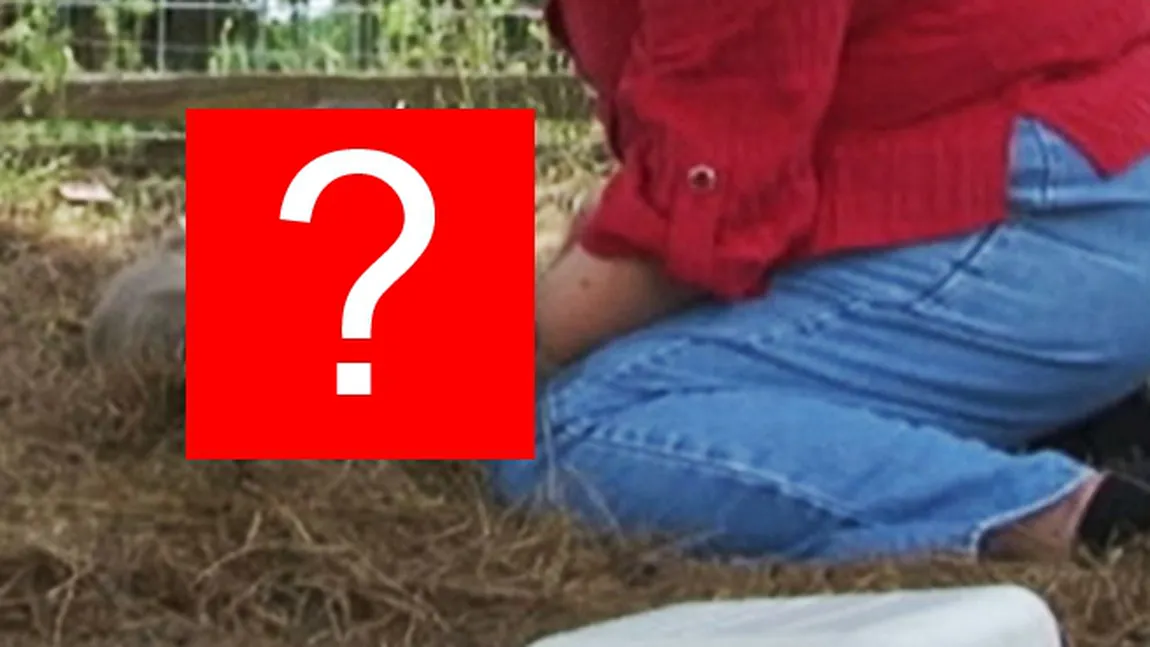 Şansele erau de UNU la 400 de MILIOANE. Ce a descoperit un gospodar după ce i-a fătat vaca l-a ŞOCAT FOTO