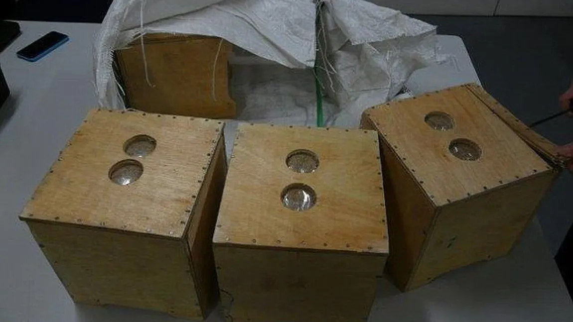Teroare pe aeroport. Descoperirea făcută de angajaţi într-un bagaj suspect FOTO