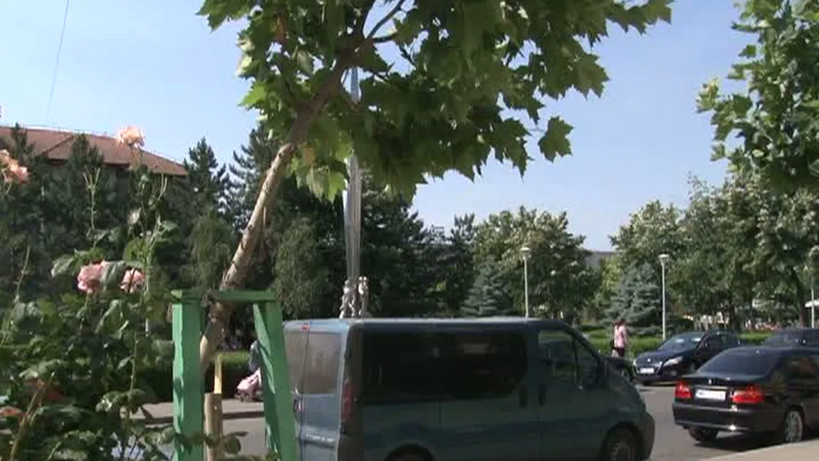 Gest uluitor. Deranjat de ţânţari, un bărbat a doborât cu bomfaierul copacii din faţa blocului VIDEO