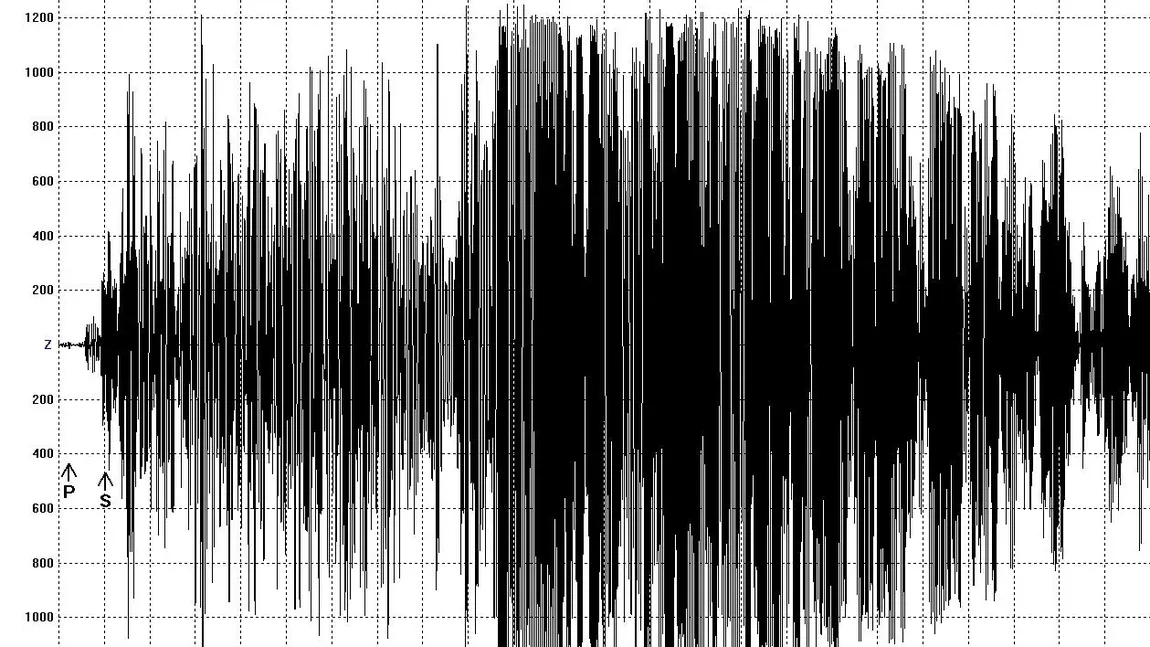 CUTREMUR cu magnitudine 2.9 în Vrancea