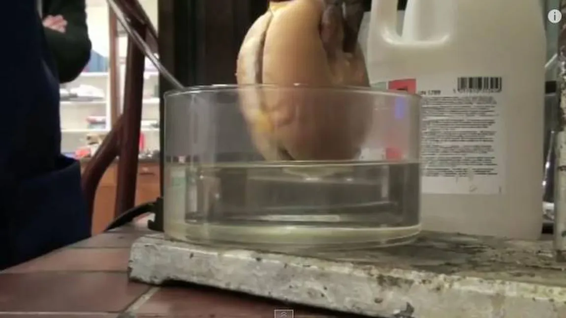 A băgat un Cheeseburger în ACID CLORHIDRIC. Ce se întâmpă după e INCREDIBIL VIDEO