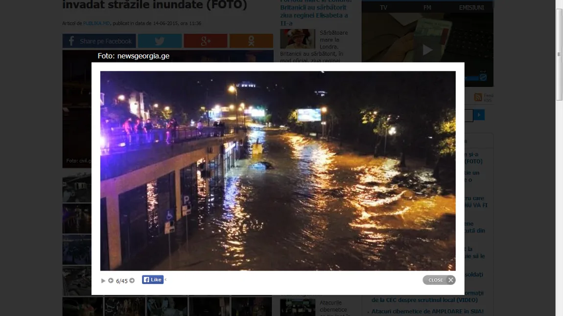 Ca-n filmele de groază. Lei, tigri, crocodili, lupi şi urşi fac legea în capitala Georgiei GALERIE FOTO, VIDEO