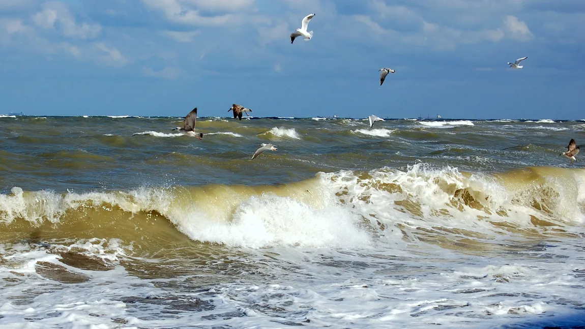 Cutremur în Marea Neagră