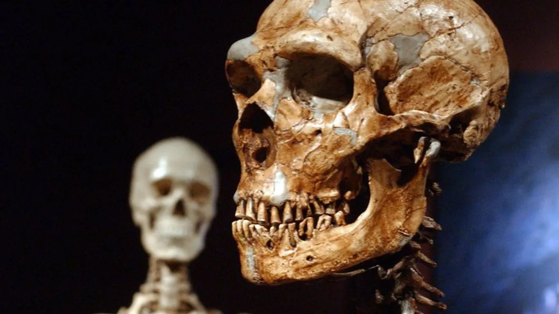 Studiul unei fosile găsite în România, dovadă a încrucişării dintre omul modern şi neanderthalieni în Europa