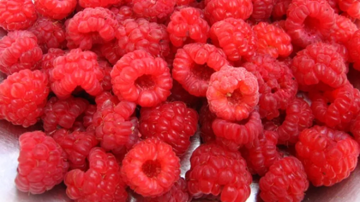 Reţeta zilei de luni. Dulceaţă de zmeură (reţeta bunicii)