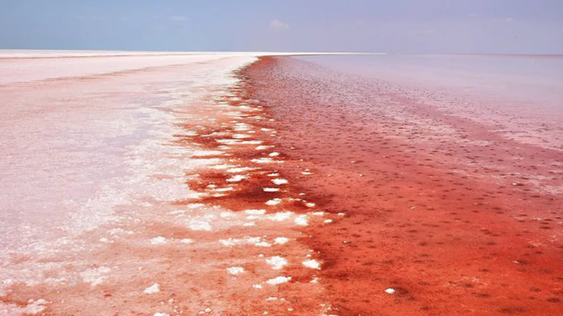 Un lac din Turcia s-a făcut roşu FOTO