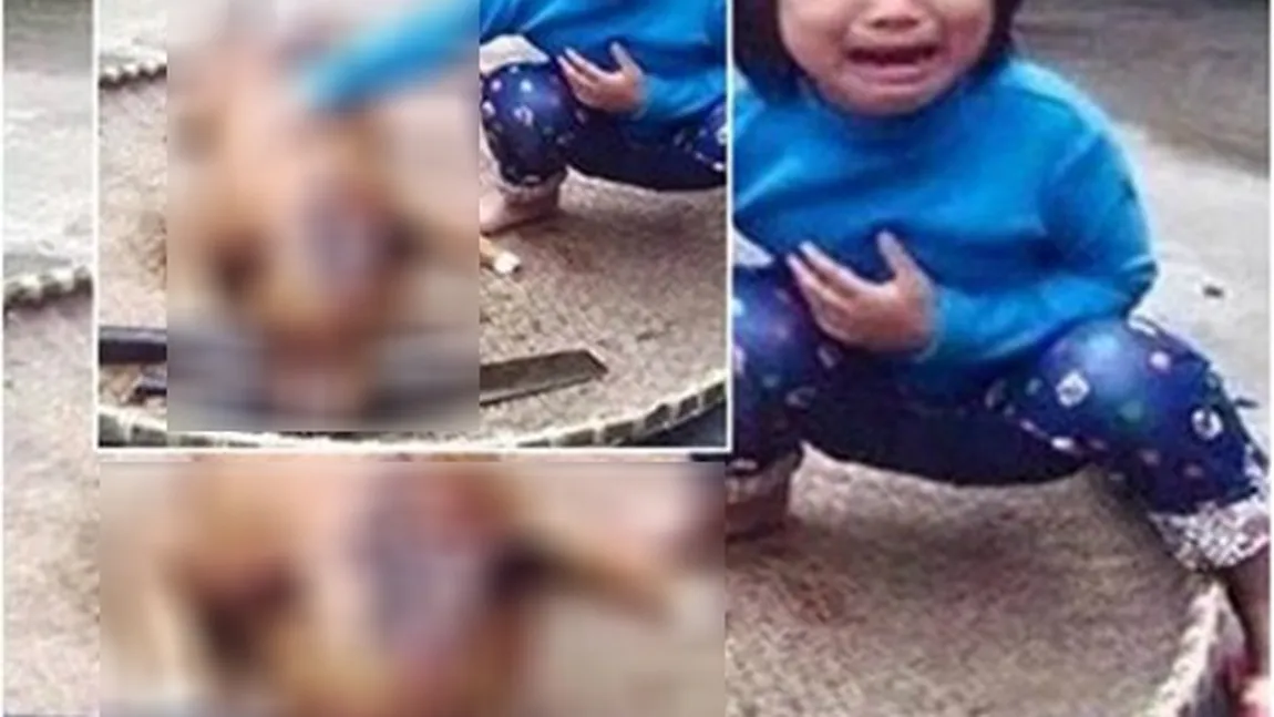 Din cauza fotografiei au plâns milioane de oameni. Ce s-a întâmplat cu acest copil şi bietul animal