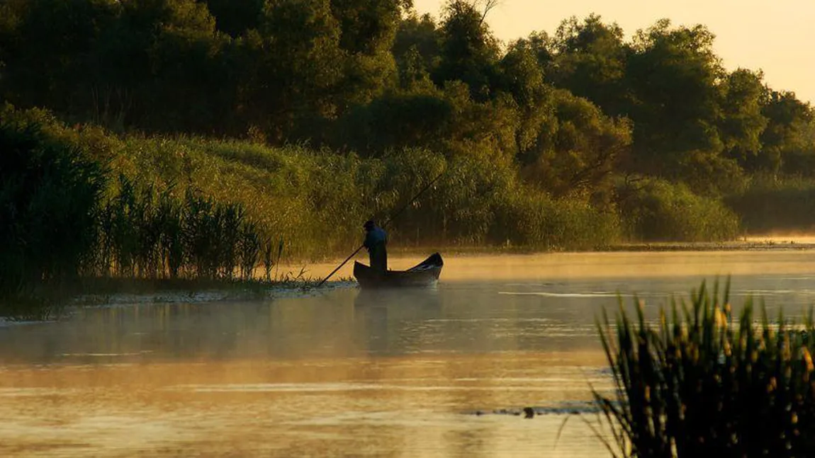 Crapul, somnul, ştiuca şi şalăul vor putea fi capturaţi în Delta Dunării numai în regim 