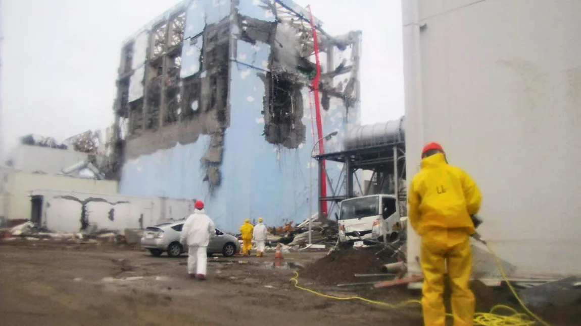 Cum arată FLORILE MUTANTE din Fukushima. Care sunt explicaţiile oamenilor de ştiinţă