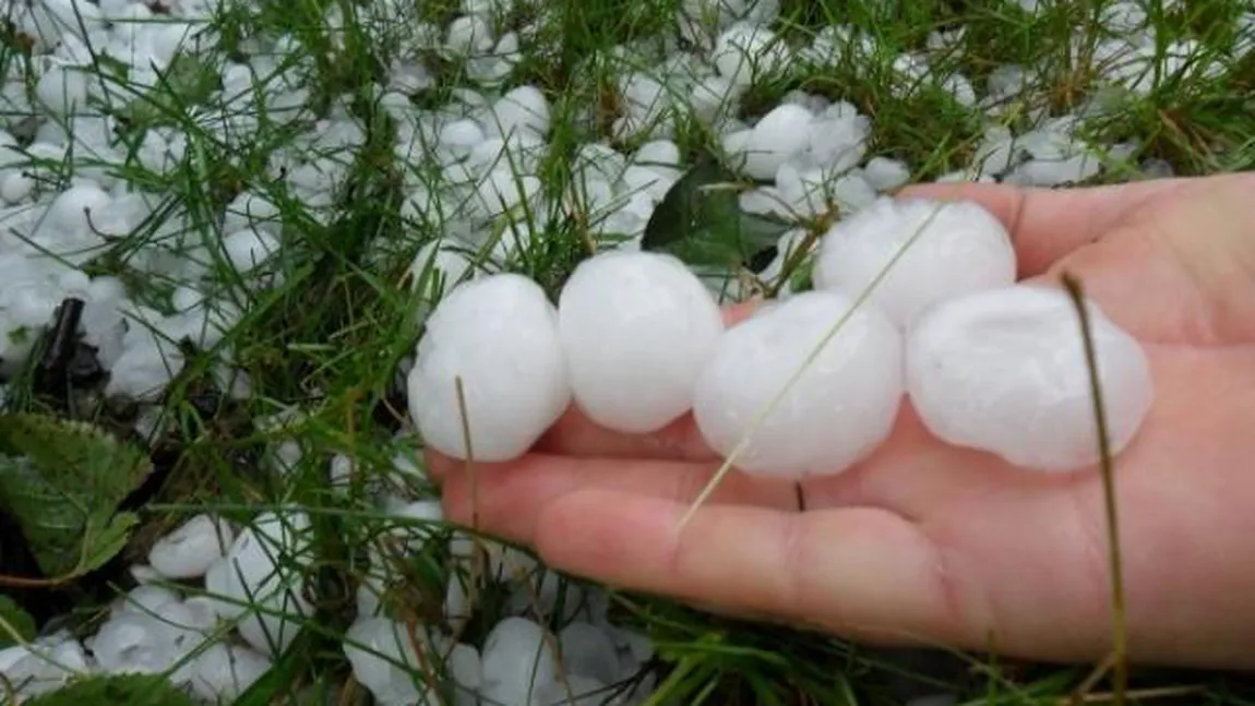 FURTUNI şi GRINDINĂ în toată ţară. Zeci de hectare de recolte, DISTRUSE VIDEO